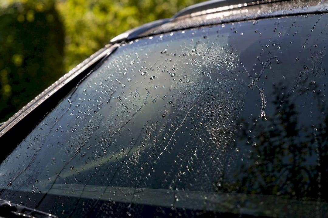 Water beading on coated windshield in rain